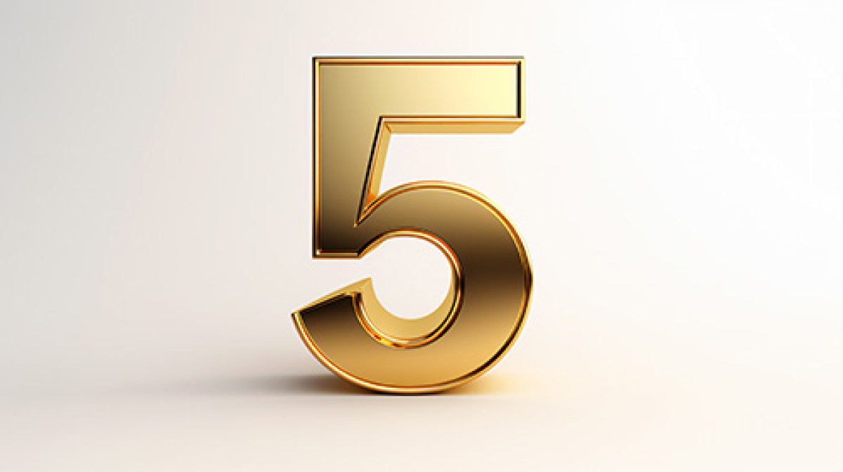 Von verstreuten Programmen zur gebündelten Kraft: 5 goldene Regeln für die zentrale Steuerung Ihres Unternehmens